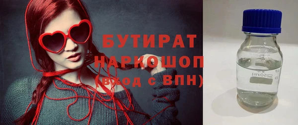 индика Вяземский