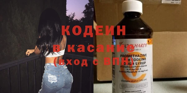 индика Вяземский