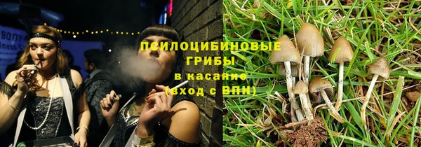 хмурый Горняк