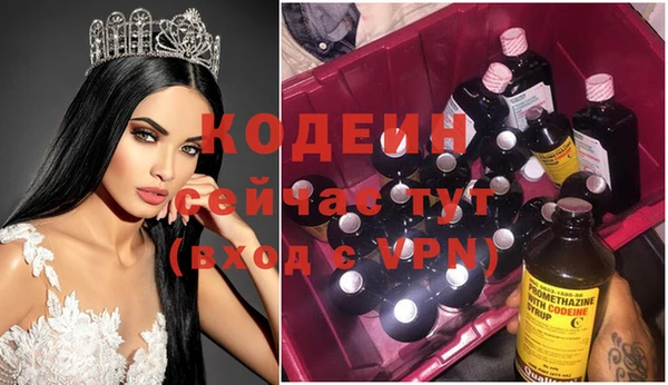 индика Вяземский