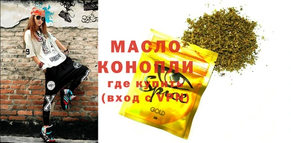 индика Вяземский