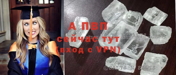 стафф Горнозаводск