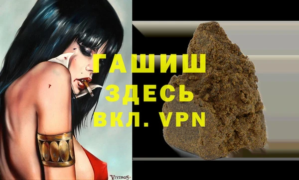 индика Вяземский
