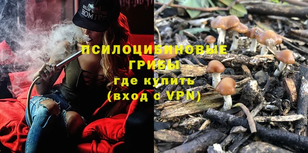хмурый Горно-Алтайск