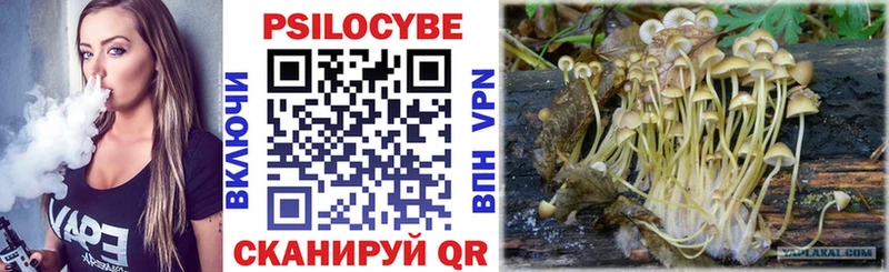 закладки  Заволжск  hydra маркетплейс  Галлюциногенные грибы прущие грибы 